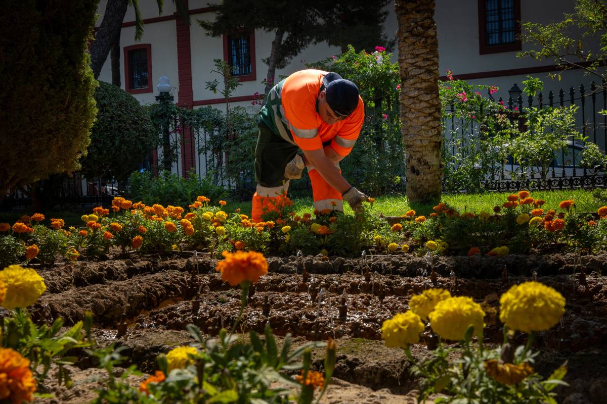 Teatro Pemán, en el Parque Genovés de Cádiz, en los días previos a su inauguración. Cádiz, agosto de 2026 - JOSÉ MARÍA REYNA Teatro Pemán, en el Parque Genovés de Cádiz, en los días previos a su inauguración. Cádiz, agosto de 2026