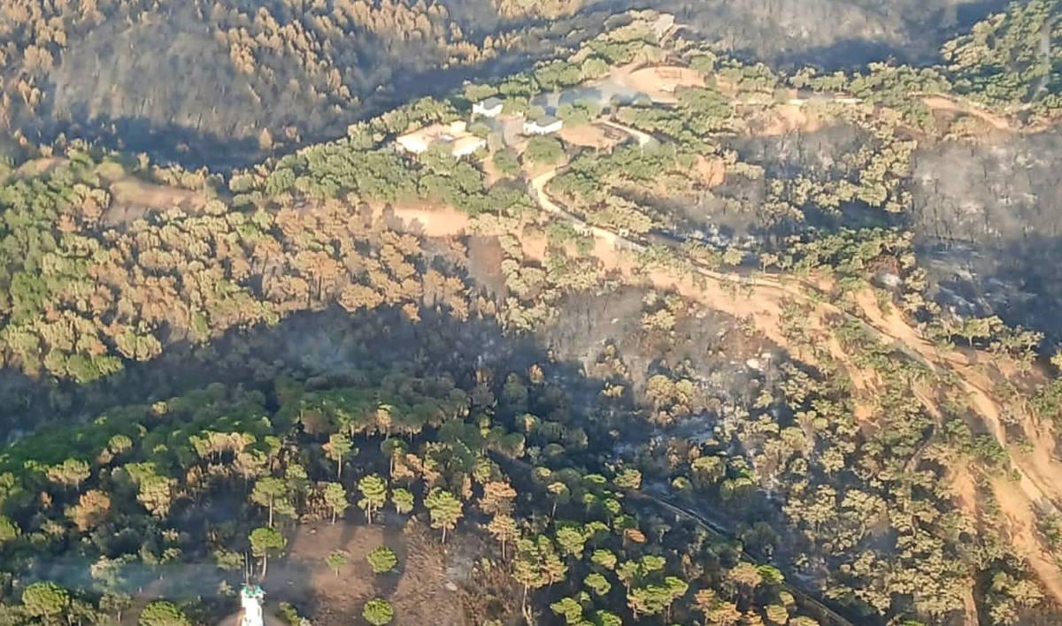 El incendio de Niebla sigue estabilizado, pero Infoca lanza un aviso: máxima precaución por posibles caídas de árboles