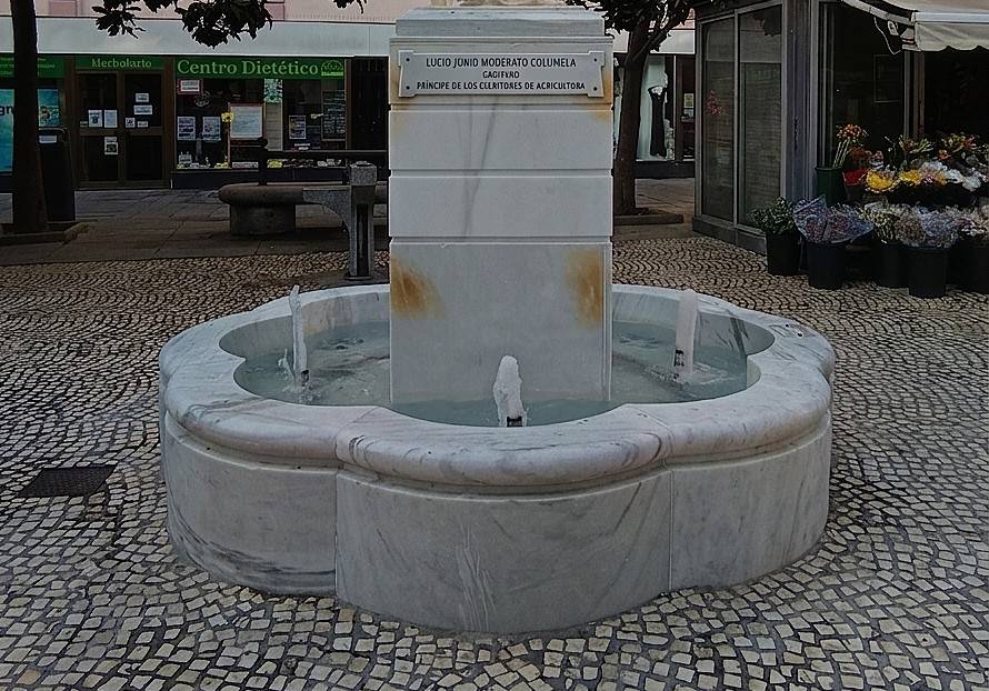 Fuente de Columela, vaso y pedestal
