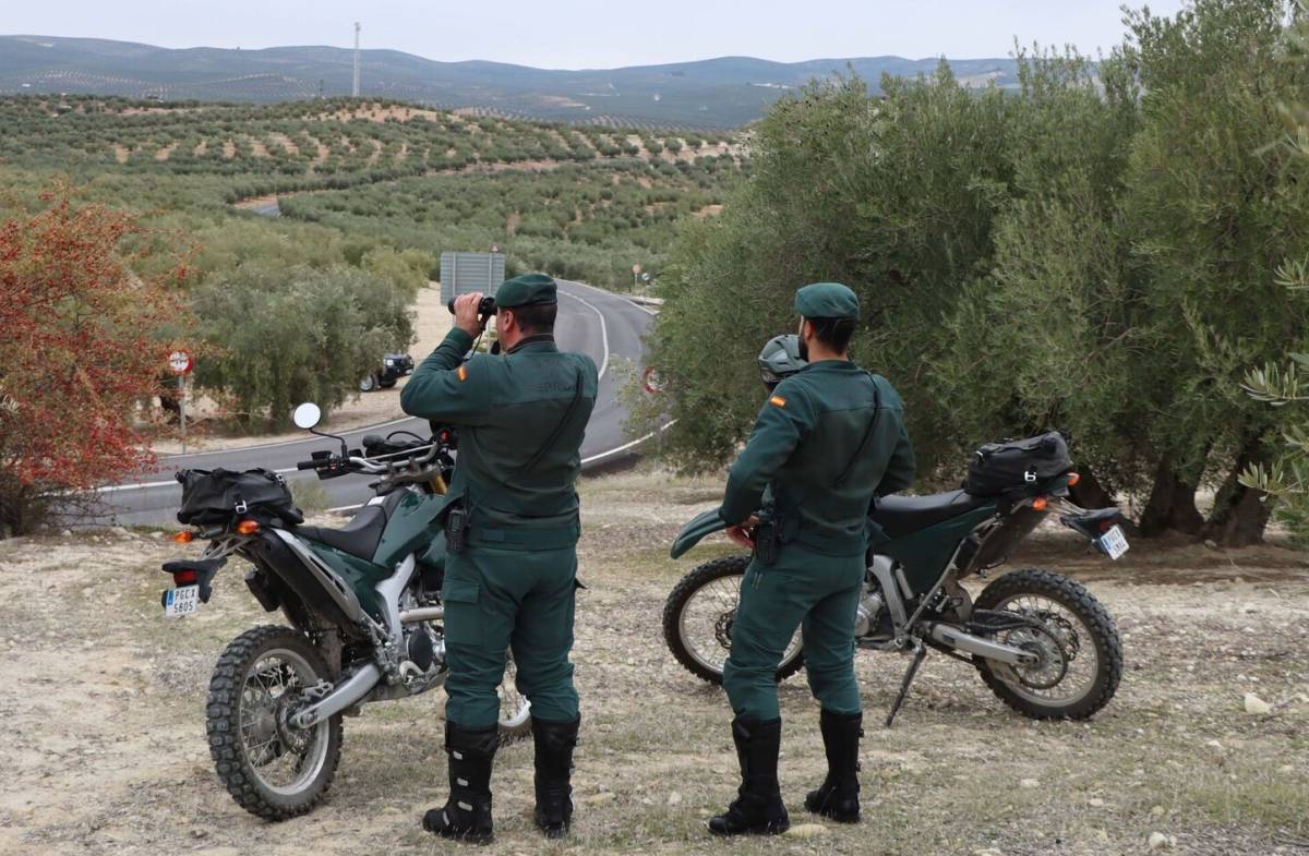 El león suelto en Toledo sigue sin aparecer: la Guardia Civil mantiene el dispositivo