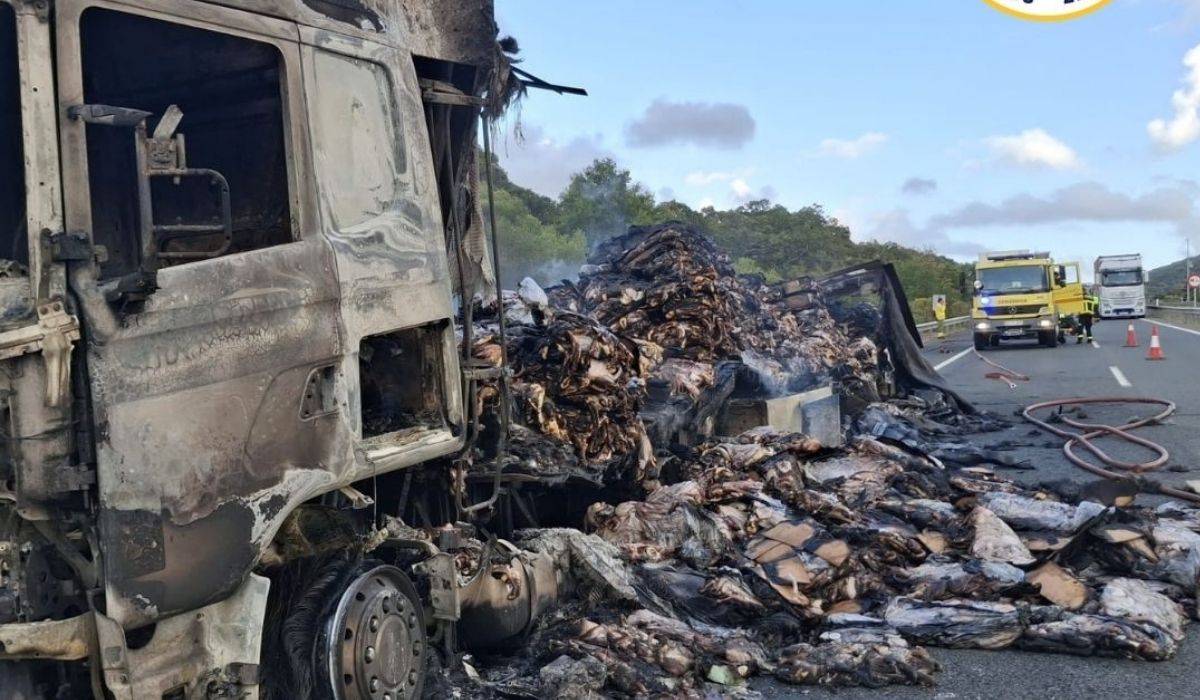 Así ha quedado el camión que ardió en la autovía Jerez-Los Barrios: la carga, completamente calcinada