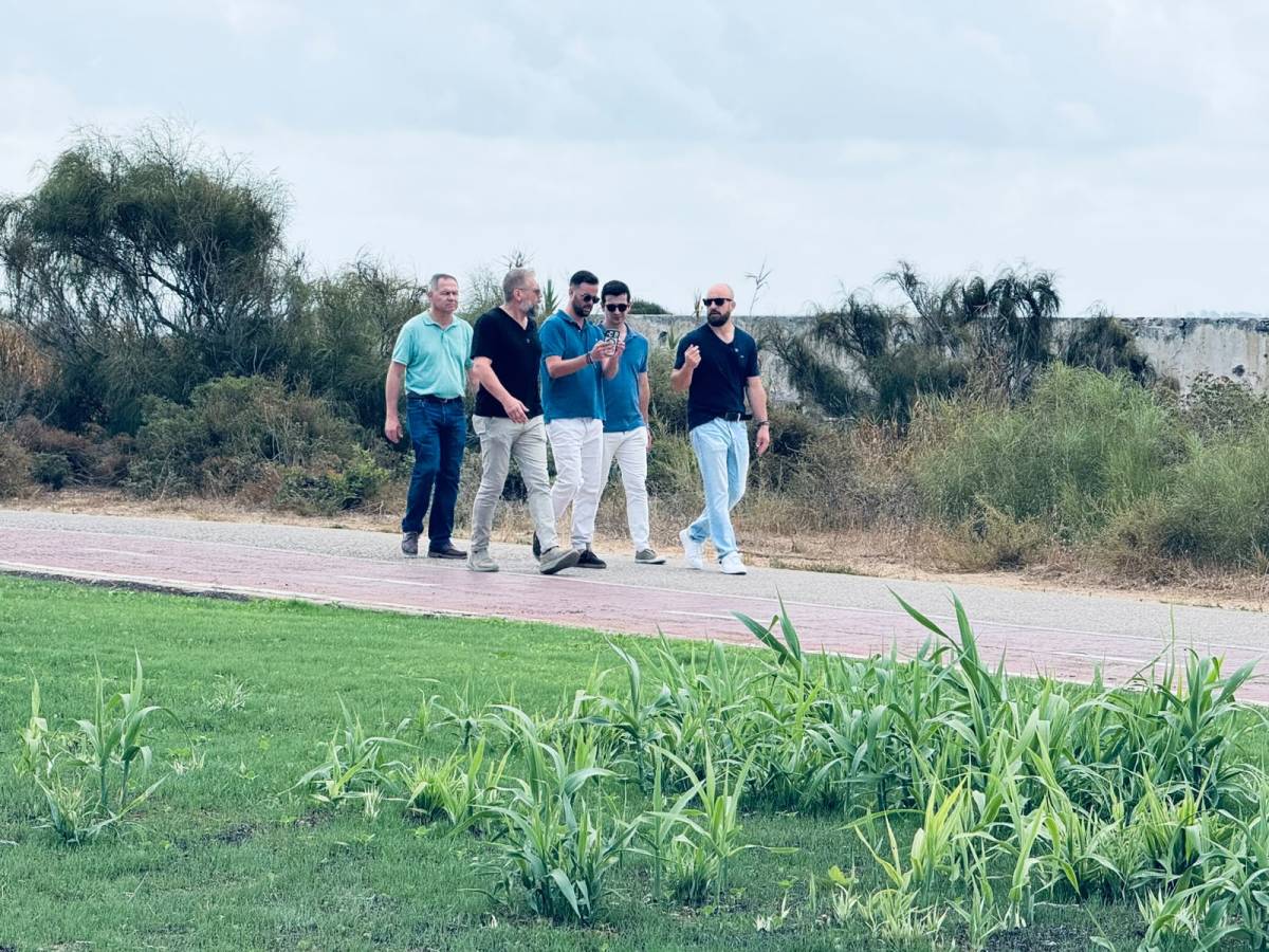 El paseo presentará zonas verdes y de sombra.