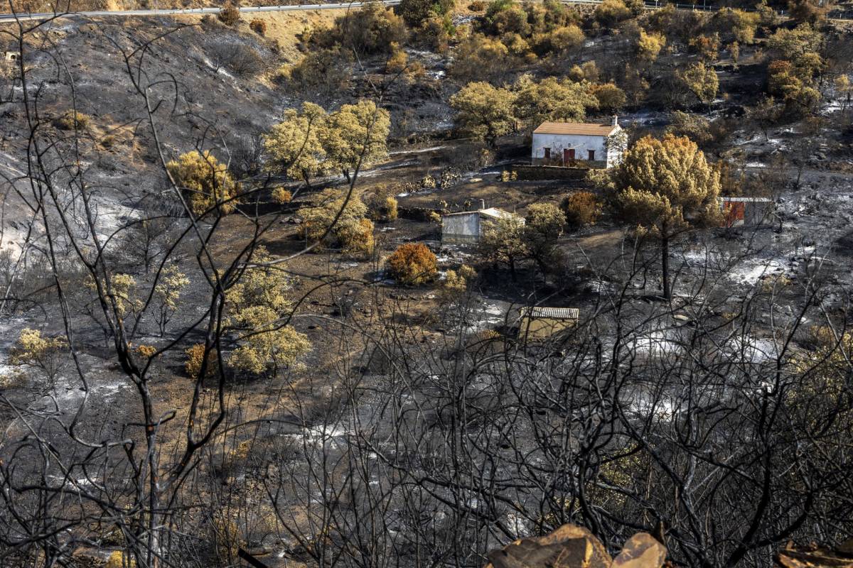 Buena noticia: extinguido después de 15 días el incendio de Niebla tras arrasar 33.000 hectáreas 
