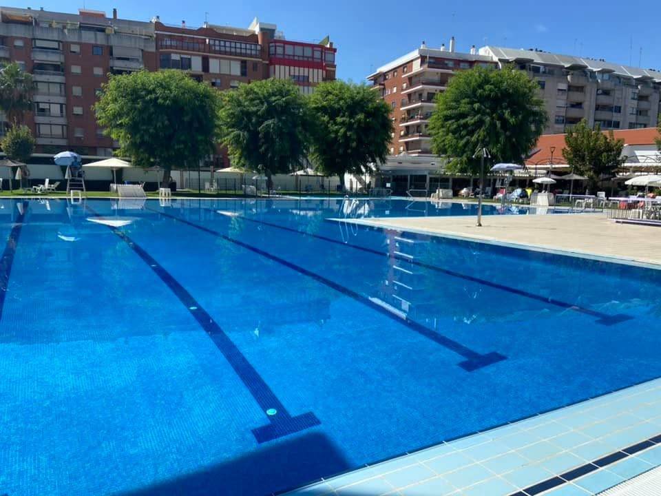 Temor por un nido de avispones orientales que lleva más de un año en una piscina en Sevilla