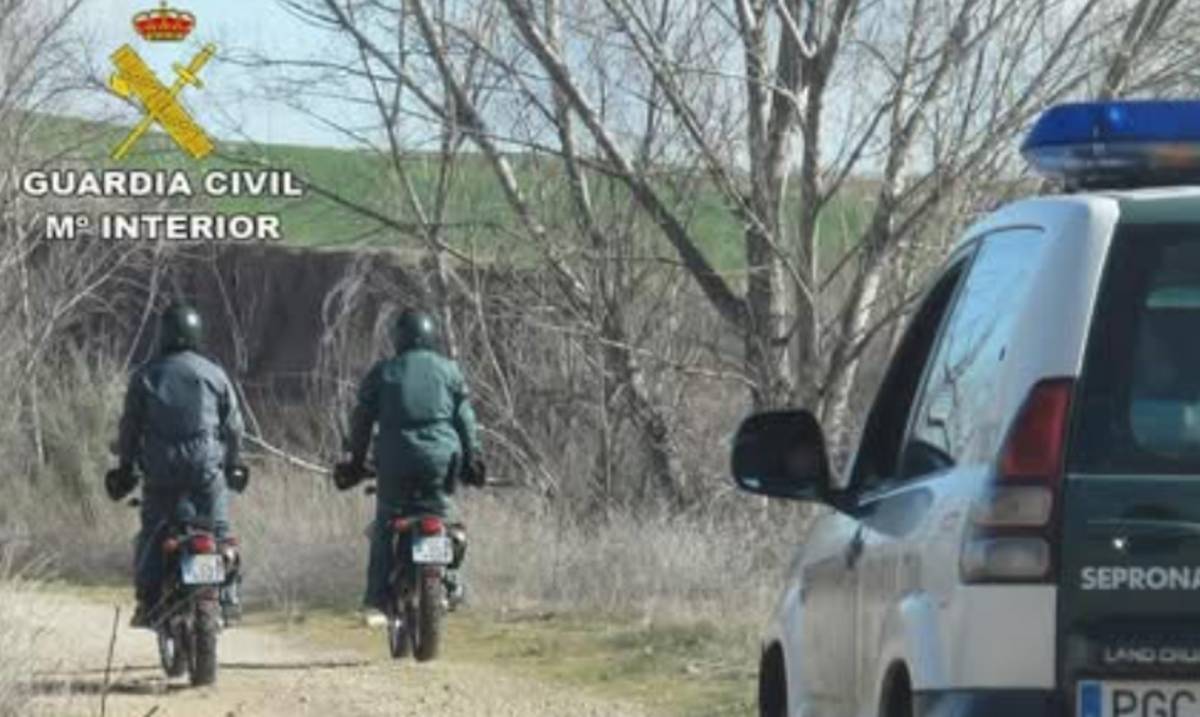 El león de Toledo, en paradero desconocido: suspenden la búsqueda tras no hallar indicios