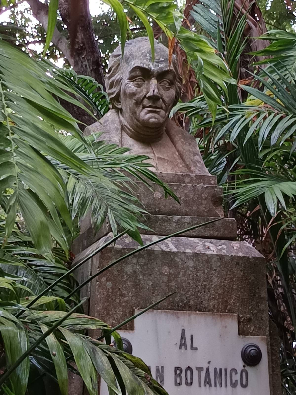 Busto de José Celestino Mutis, vista angular derecha.