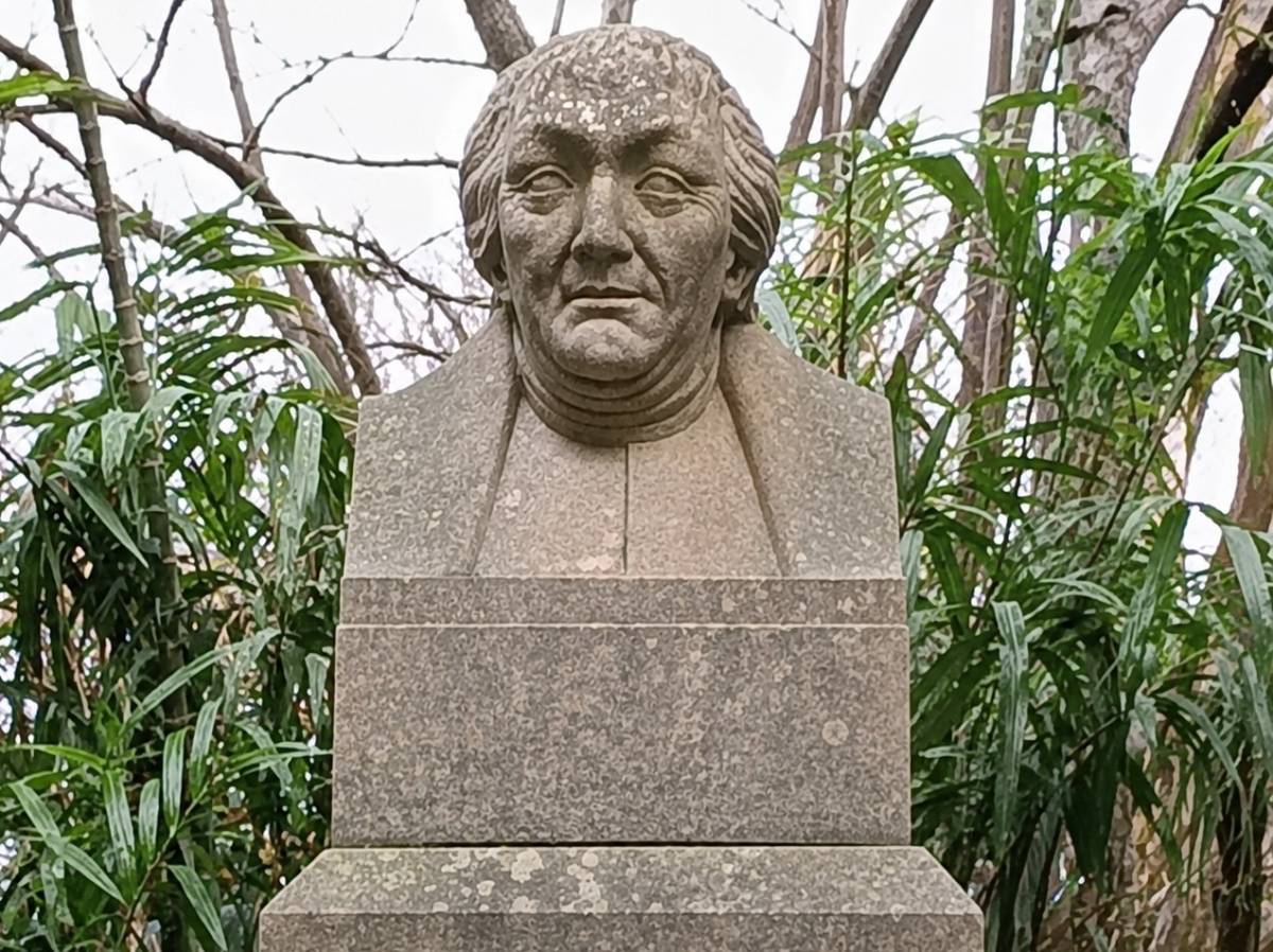 Busto José Celestino Mutis, detalle frontal liberado de vegetación.
