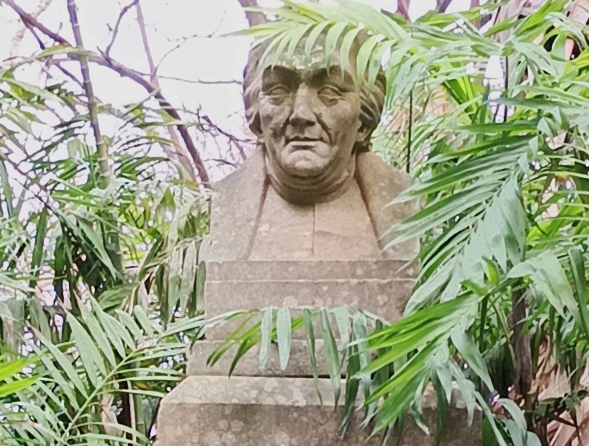 Busto de José Celestino Mutis, detalle rostro.