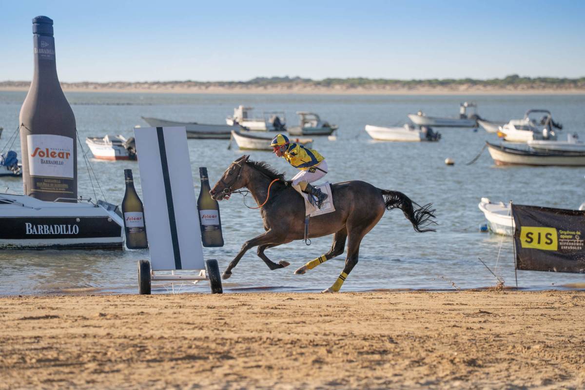 Sanlúcar cierra su temporada 181 de Carreras de Caballos con un "alto nivel competitivo"