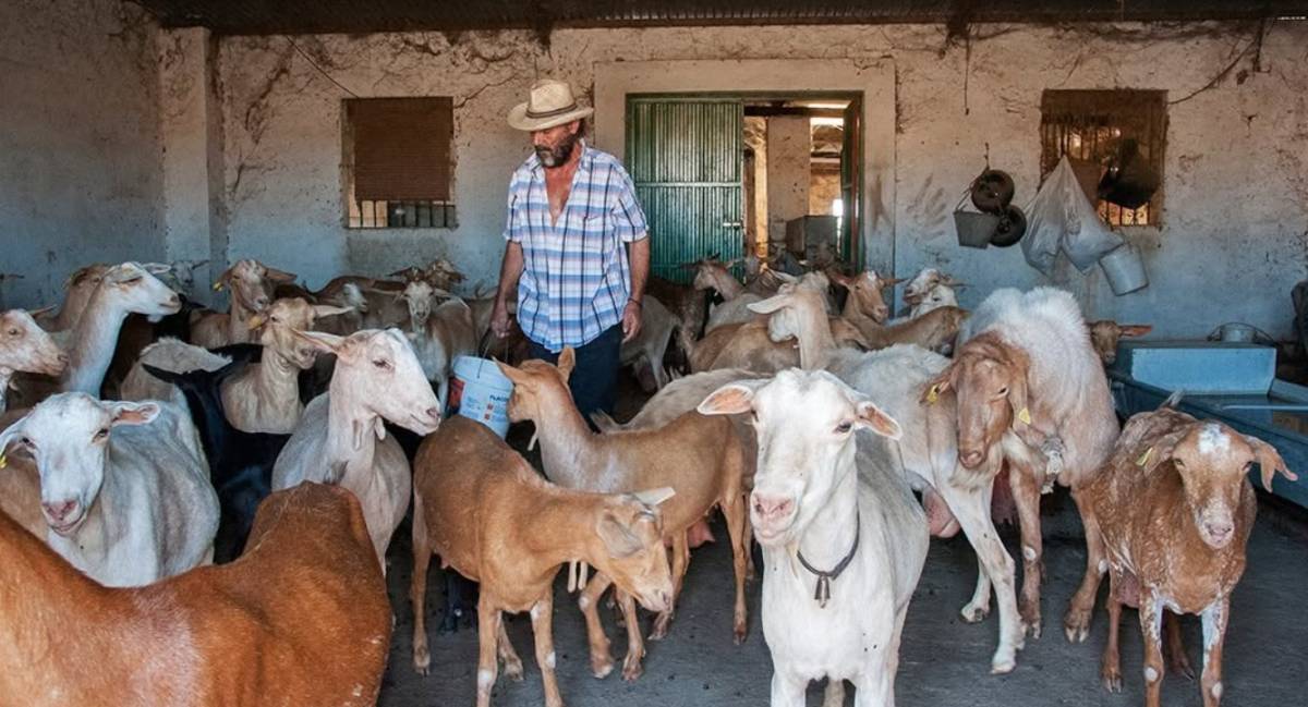 El Cabrero no renunció jamás al oficio que también le dio nombre artístico.