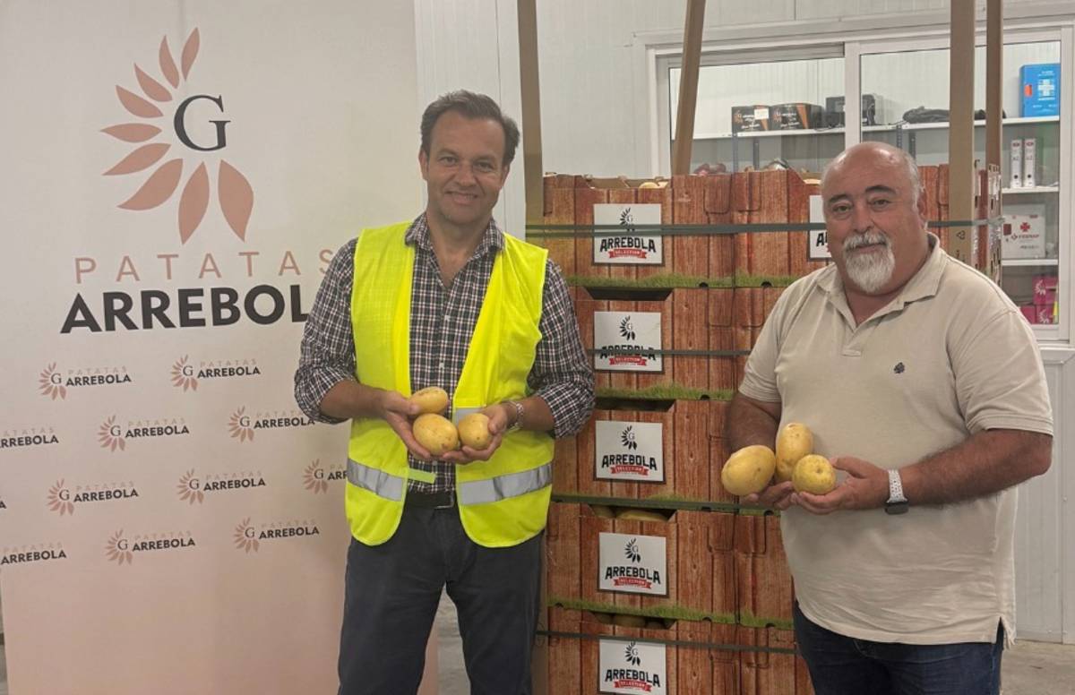 Esta es la patata de piel lisa cultivada en La Rinconada que aspira a ser la mejor de España
