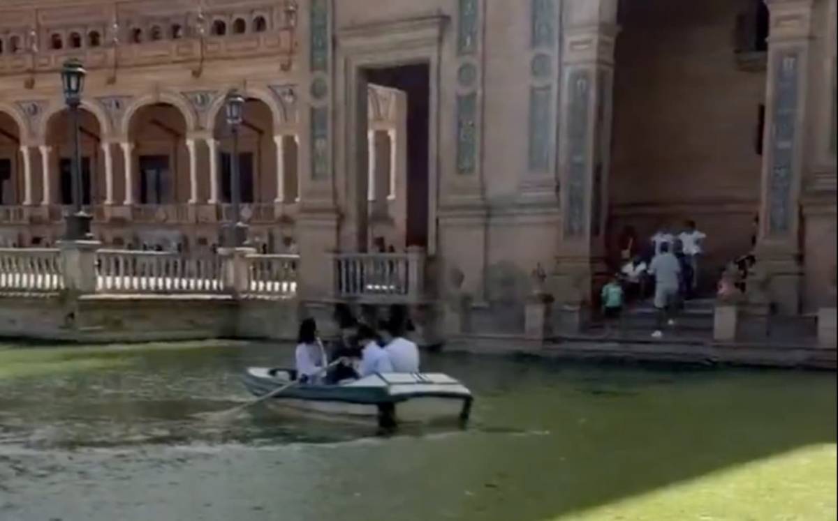Esta es la explicación de la aparición de una impresionante capa de verdina en la ría de la Plaza de España de Sevilla