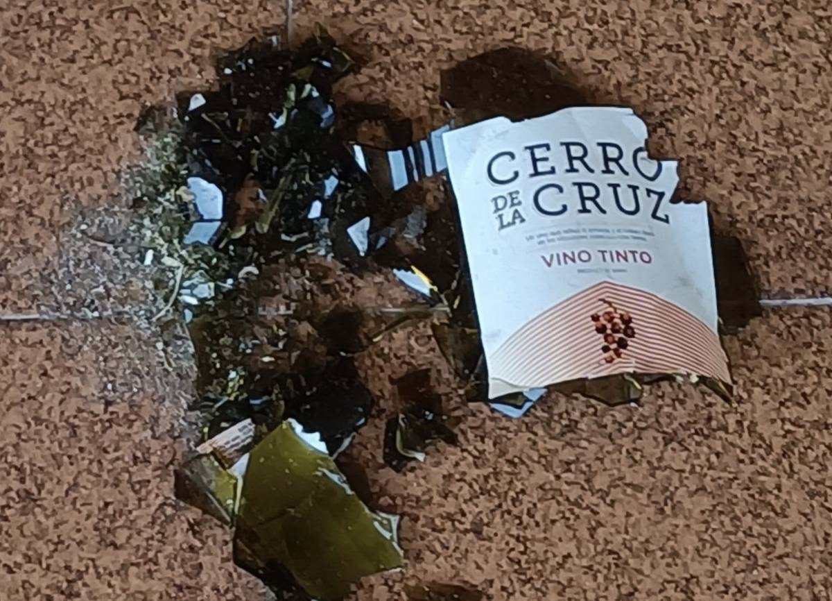 Una vecina, 