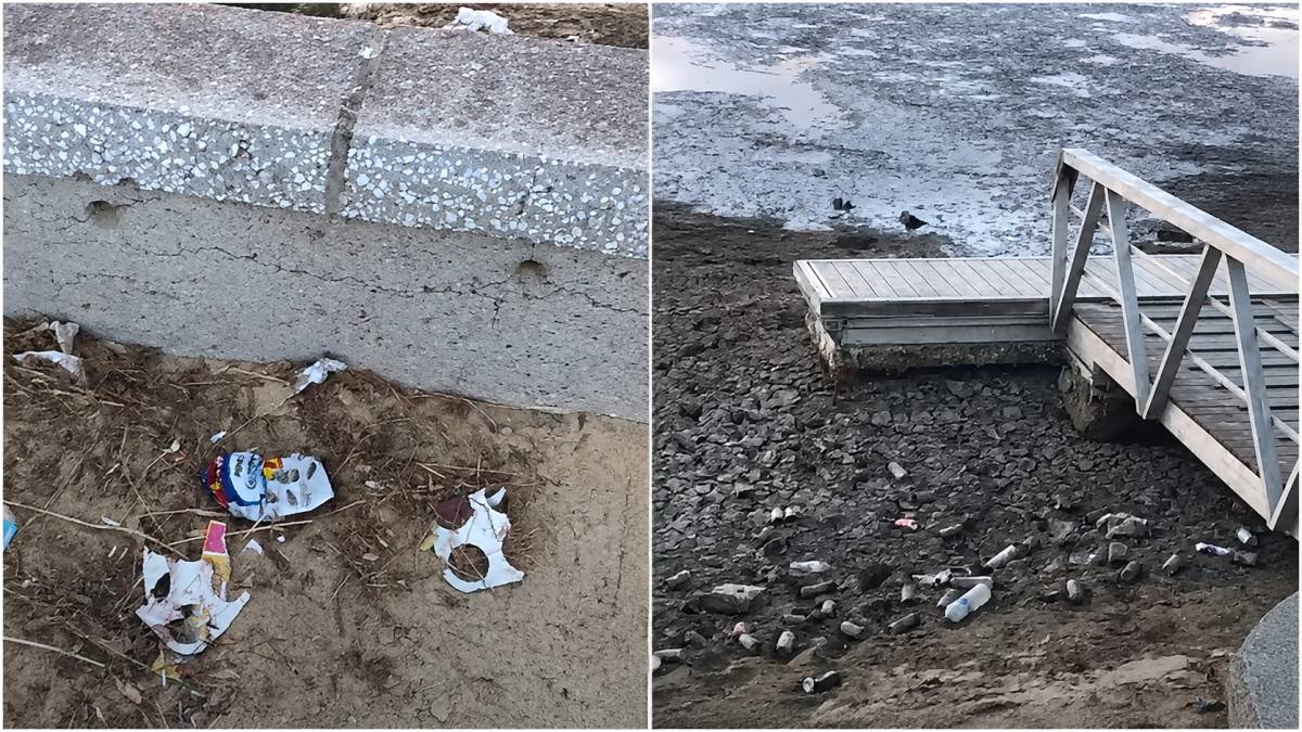 Denuncian el estado de un lago del Parque Natural Bahía de Cádiz donde se practica piragüismo: 