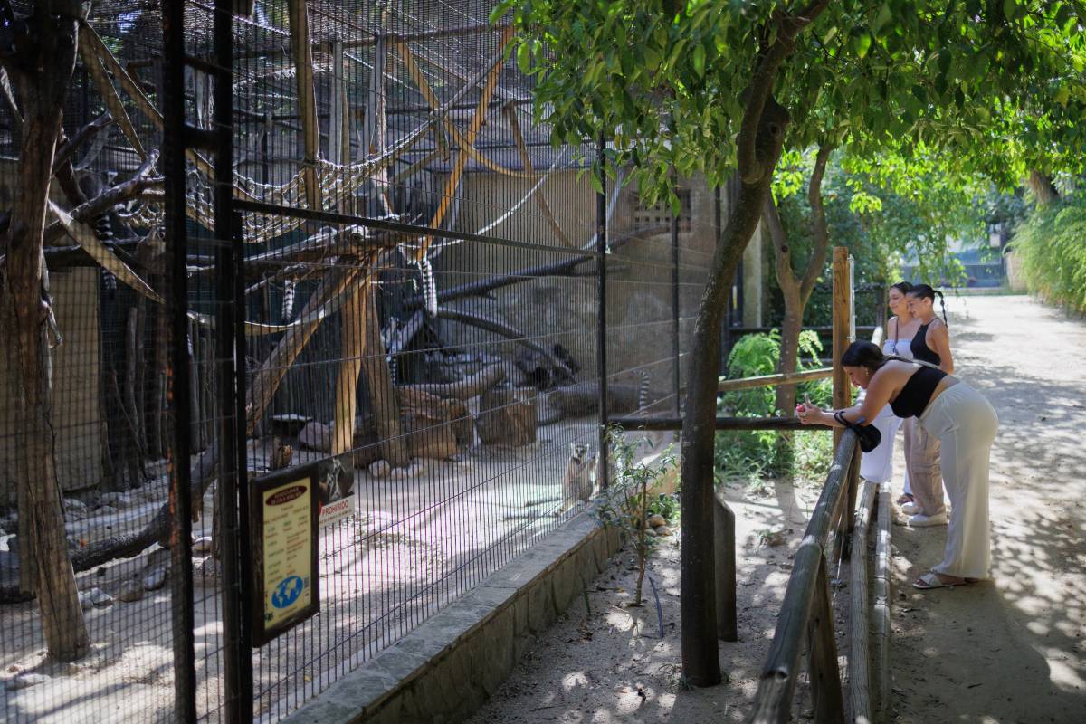 Las imágenes del primer día de reapertura del Zoo de Jerez tras el cierre por el virus del Nilo