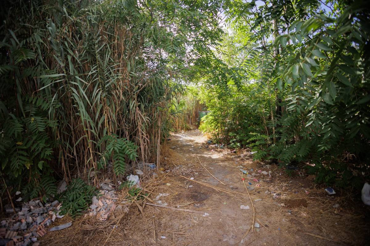 CARBONERAS ROTA CAMALEON URBANIZACION PUNTA CANDOR - MANU GARCÍA CARBONERAS ROTA CAMALEON URBANIZACION PUNTA CANDOR