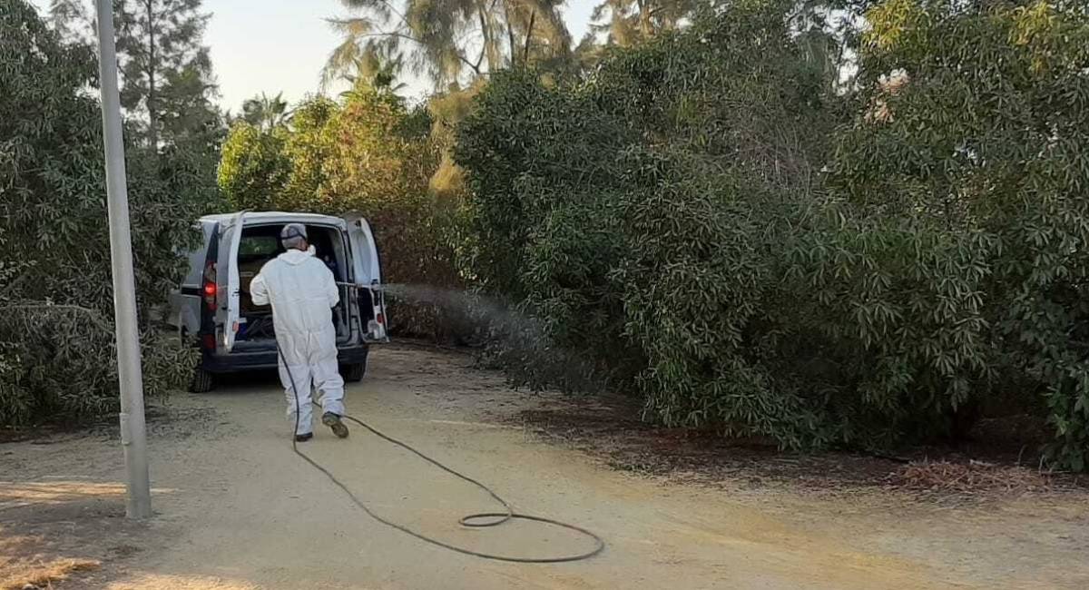 Un vecino de 89 años de una pedanía de Utrera, el segundo fallecido por virus del Nilo este año en Andalucía