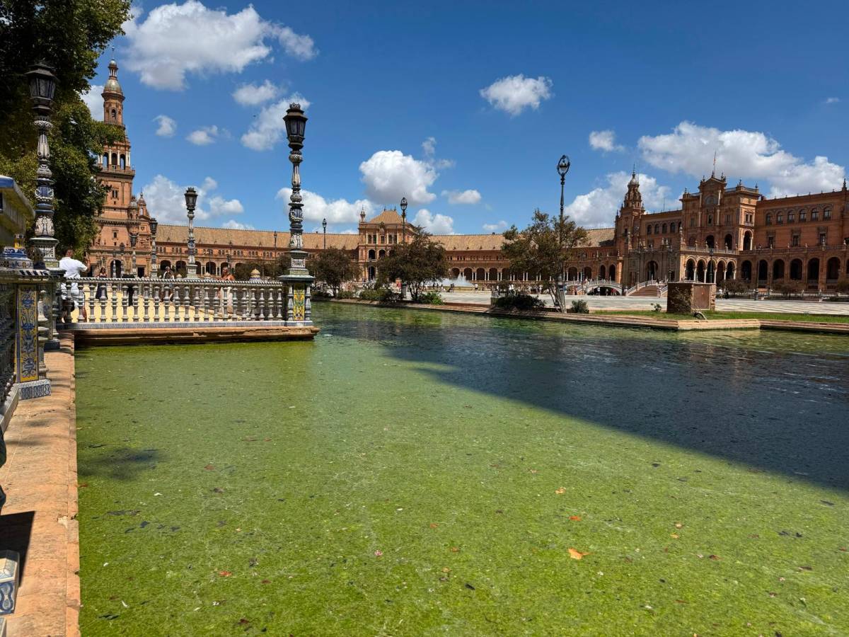 El PSOE no se cree las explicaciones y pide informes técnicos por la aparición de verdín en la ría de la Plaza de España de Sevilla