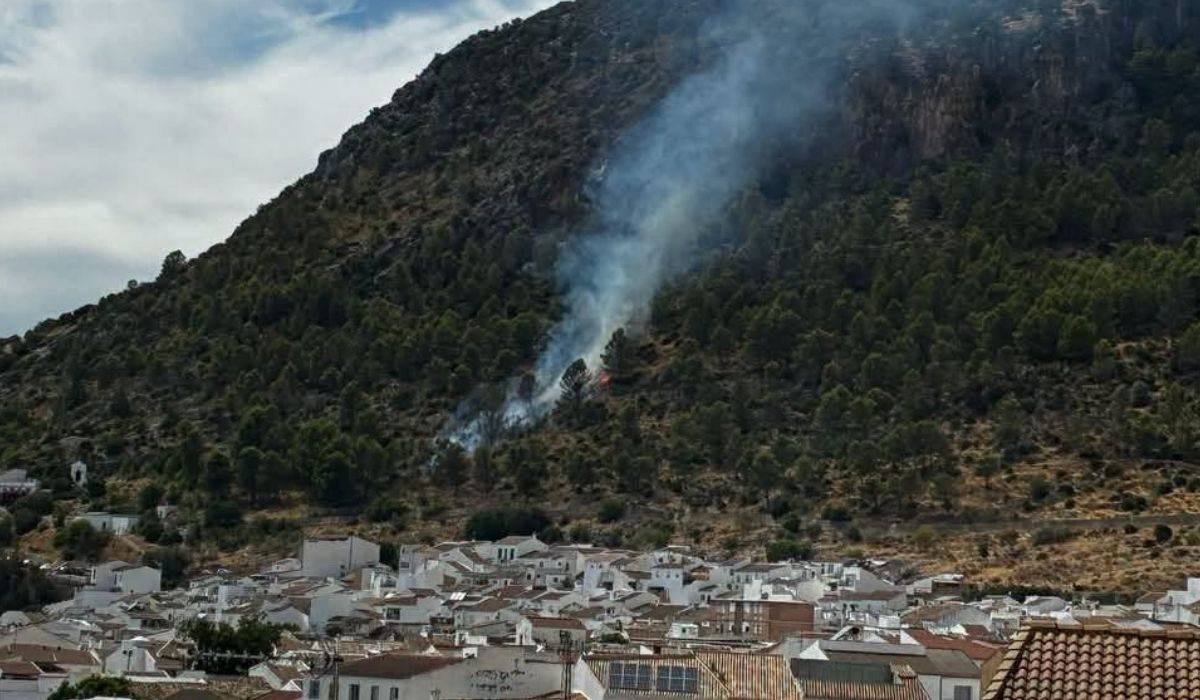 El Infoca se despliega para un incendio en Algodonales cerca de viviendas: rapidísima reacción para el mejor final posible
