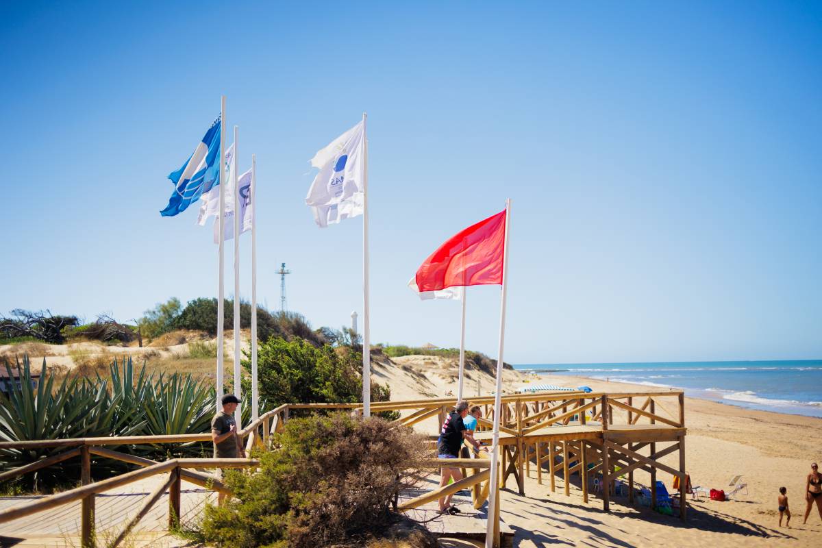 Playas 'cerradas' por bacterias en el agua en Cádiz: Ecologistas apunta a las depuradoras y al aumento de población en verano