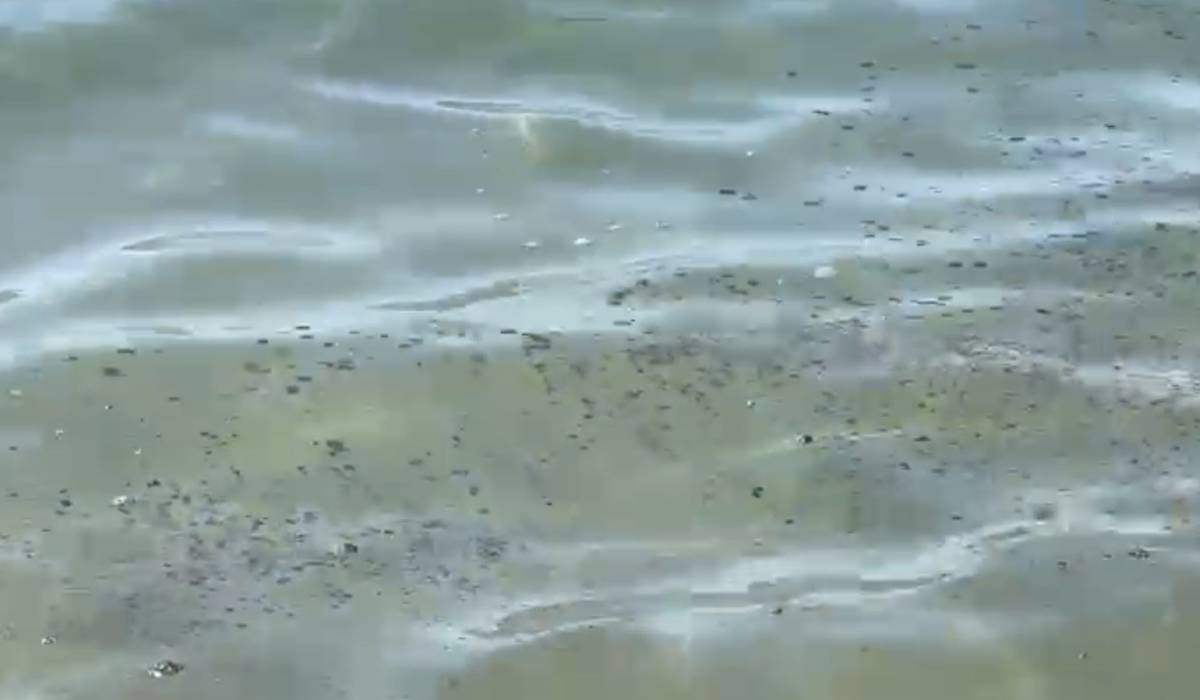 Restos de hidrocarburos en el agua. - Restos de hidrocarburos en el agua.