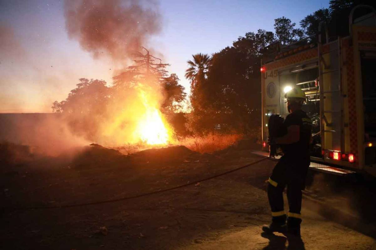 Las llamas por el fuego junto al Zoo de Jerez.