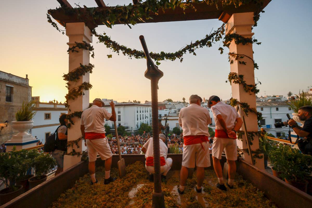  La tradicional Pisa de la Uva da comienzo a Las Fiestas de la Vendimia 2026 