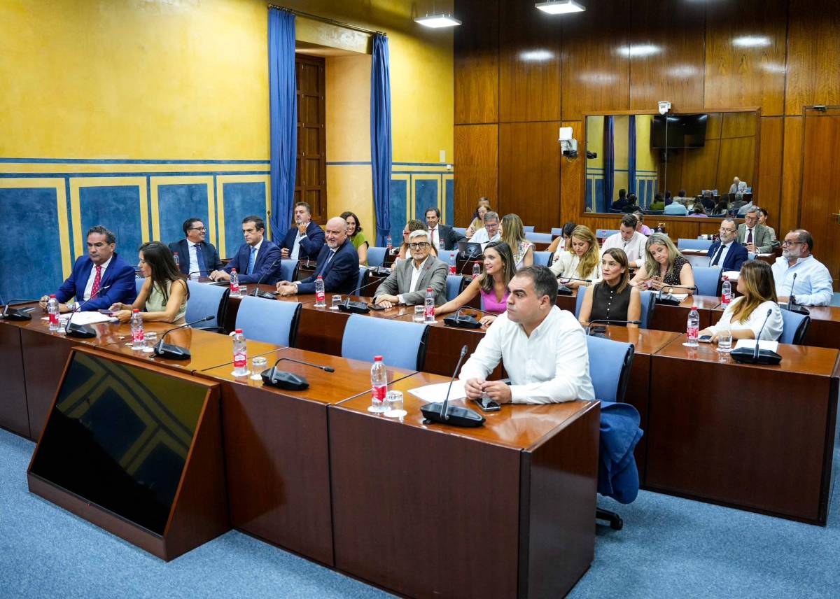 Dos exconsejeros presidirán comisiones en el Parlamento de Andalucía y cobrarán un 'extra' de 585 euros a mes