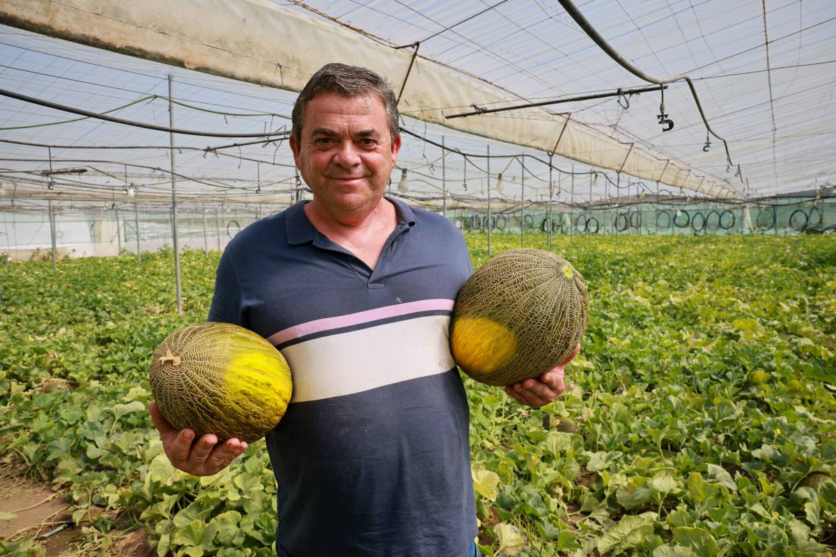 Chipiona vende sus melones a 30 céntimos cuando producirlos cuesta 80: 