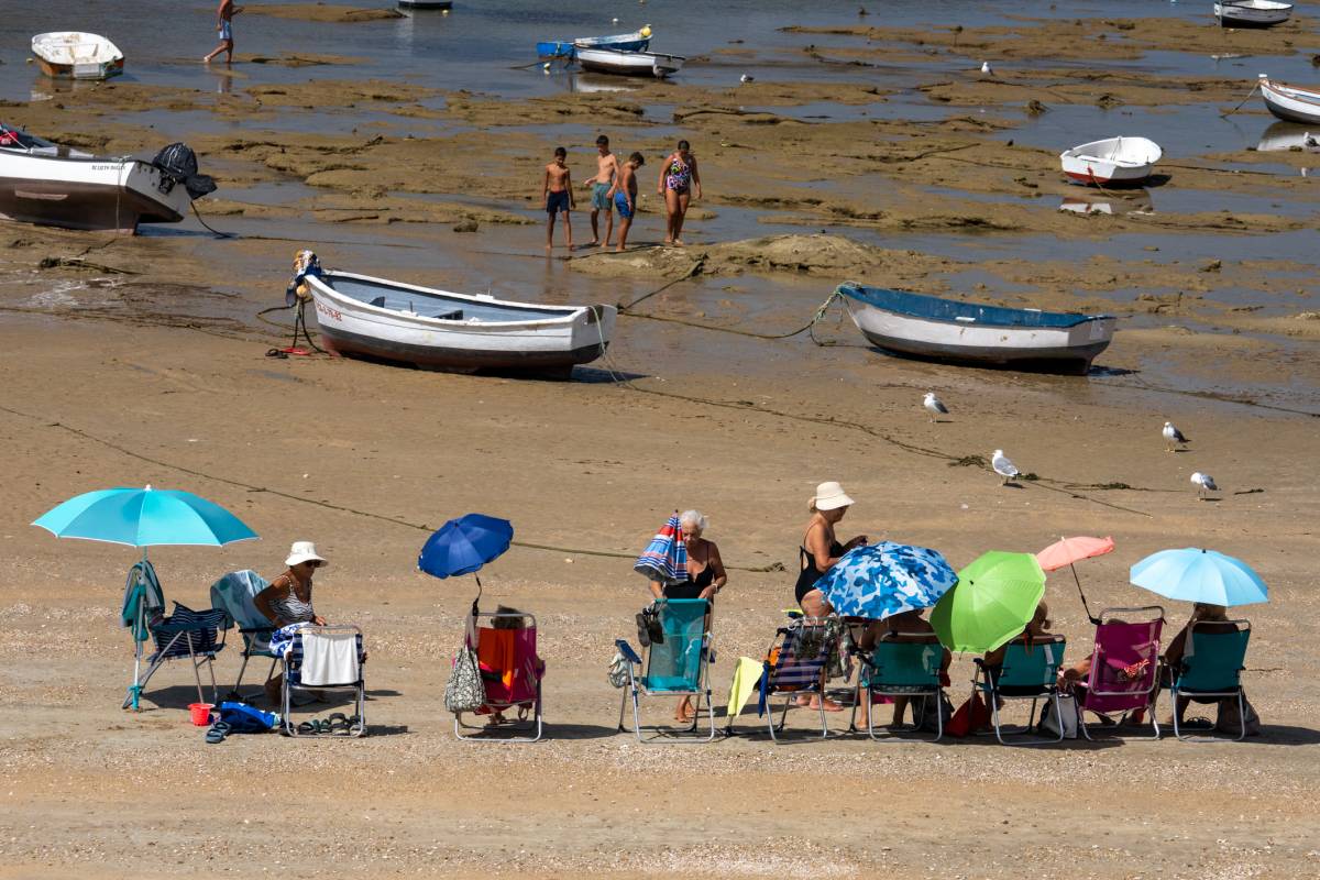 El susto de un bebé de 18 meses en La Caleta: atacado por una gaviota