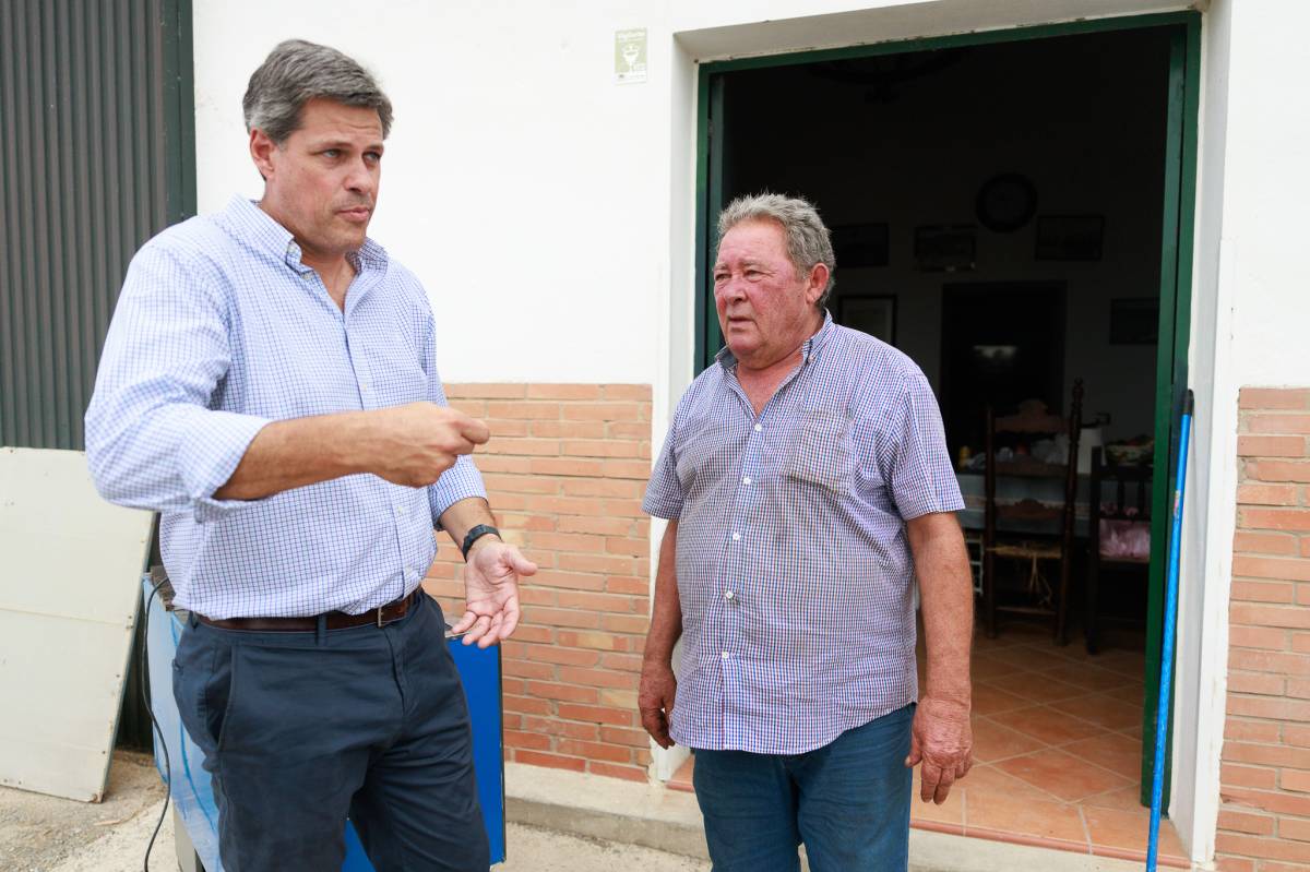 Arroceros Bajo Guadalquivir Los Palacios 