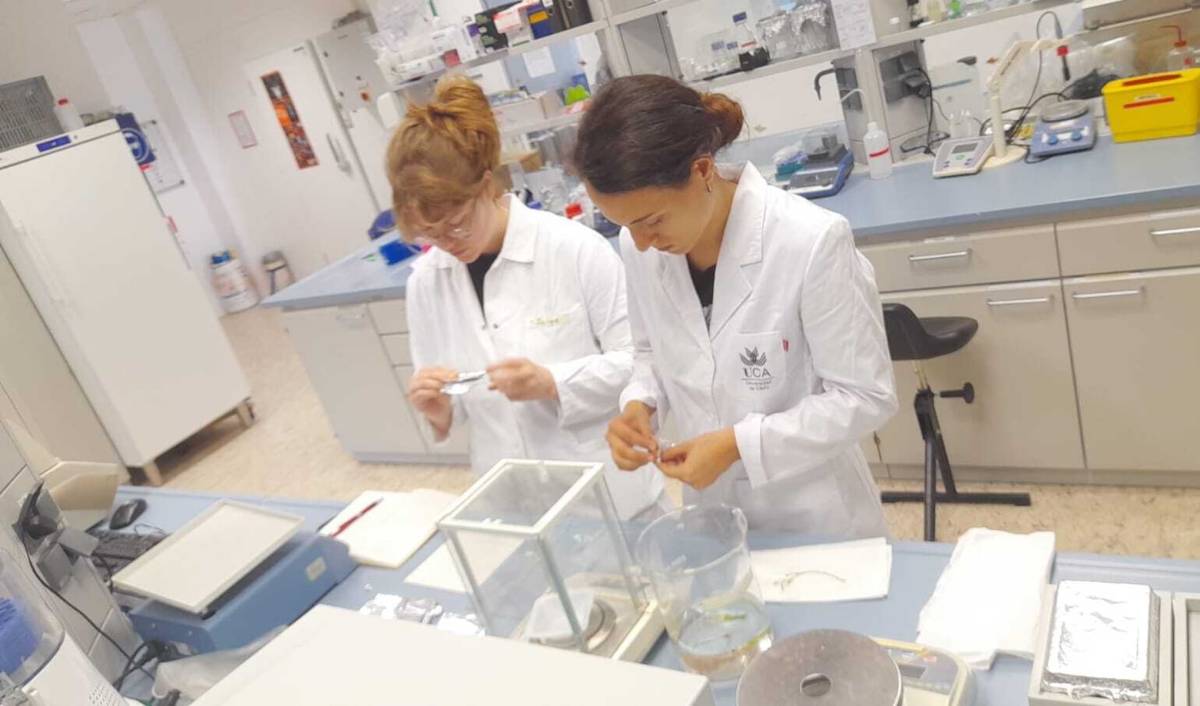 Investigadores de la Universidad de Cádiz - Investigadores de la Universidad de Cádiz