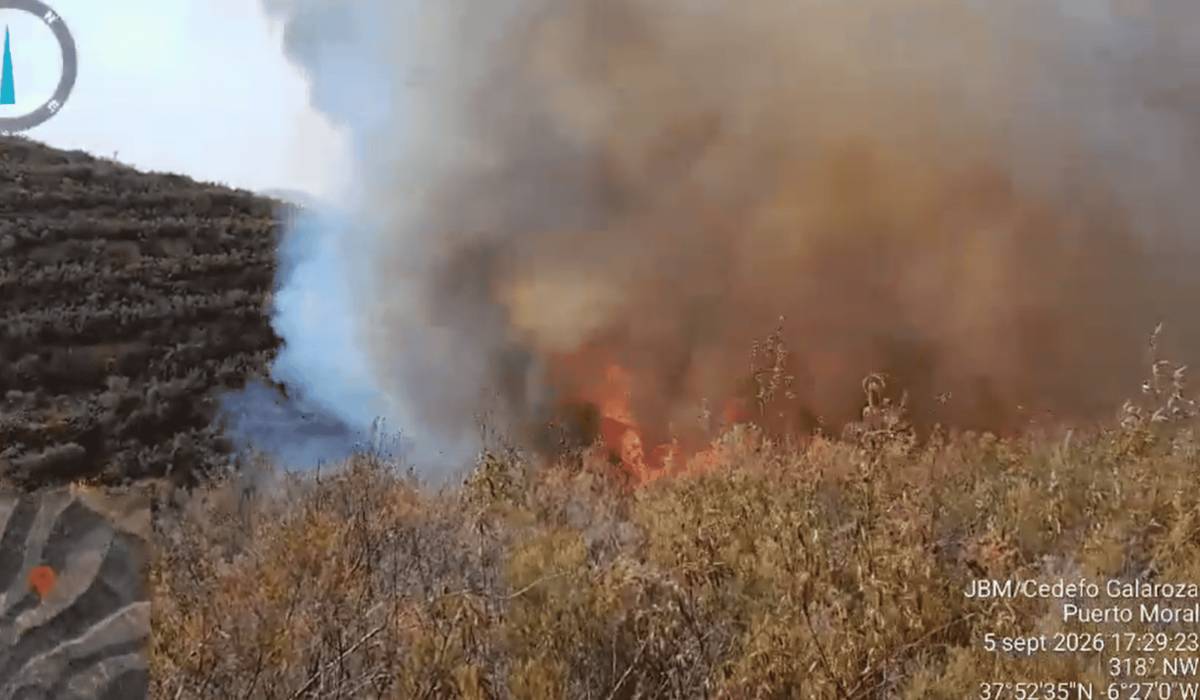 El fuego vuelve a Huelva: medios aéreos y bomberos forestales trabajan contra un incendio en Puerto Moral