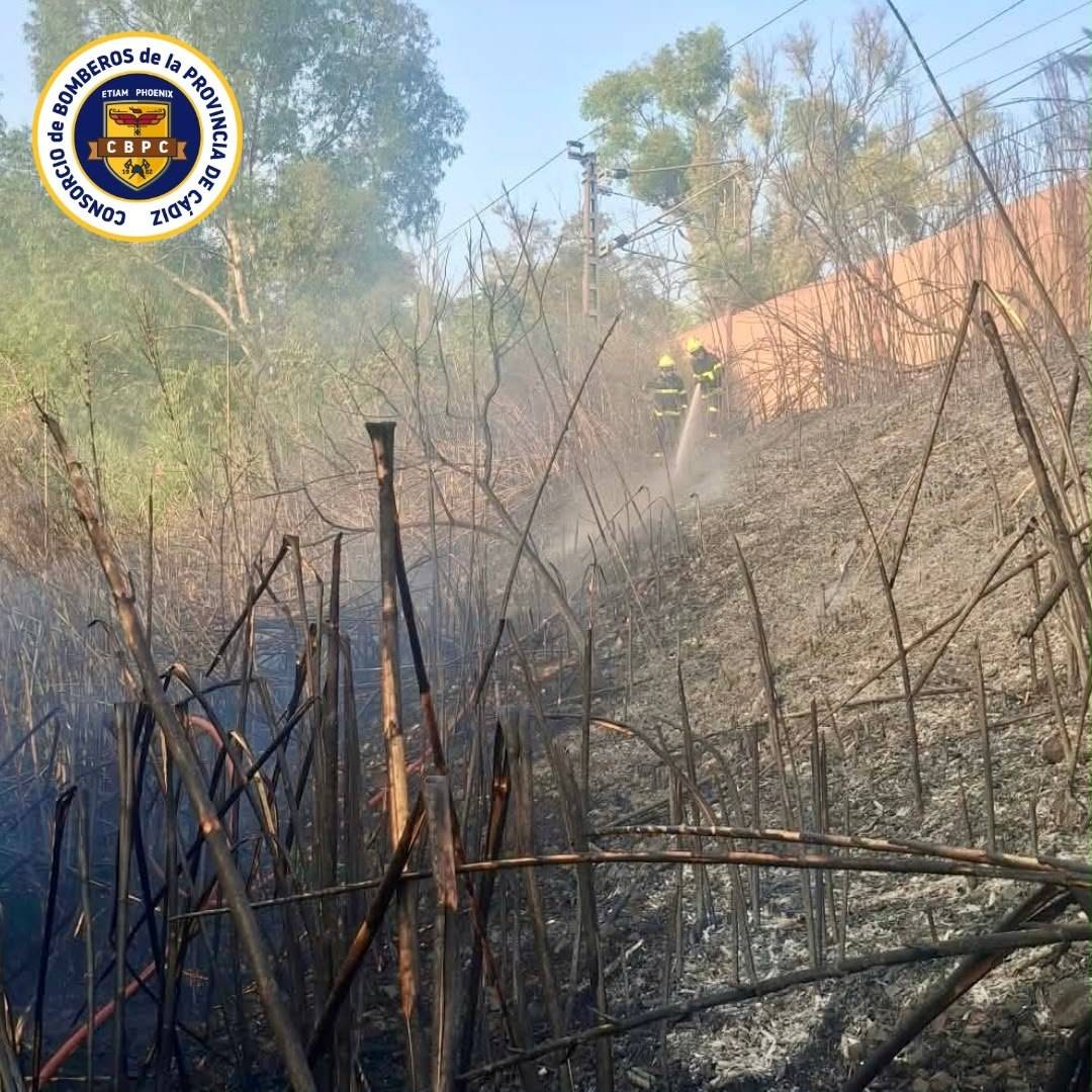 Los otros incendios fueron puramente de pasto. - Los otros incendios fueron puramente de pasto.