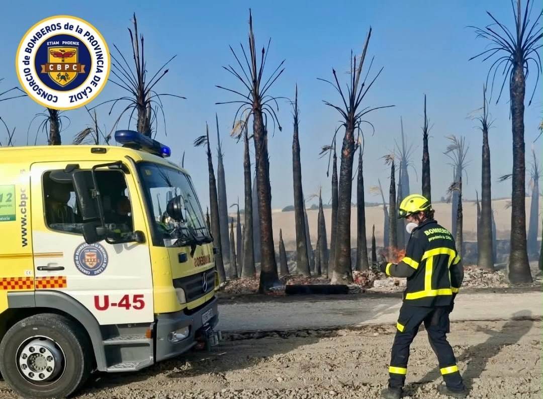Los tres incendios que afectaron este domingo a Jerez de forma simultánea en plena ola de calor: 
