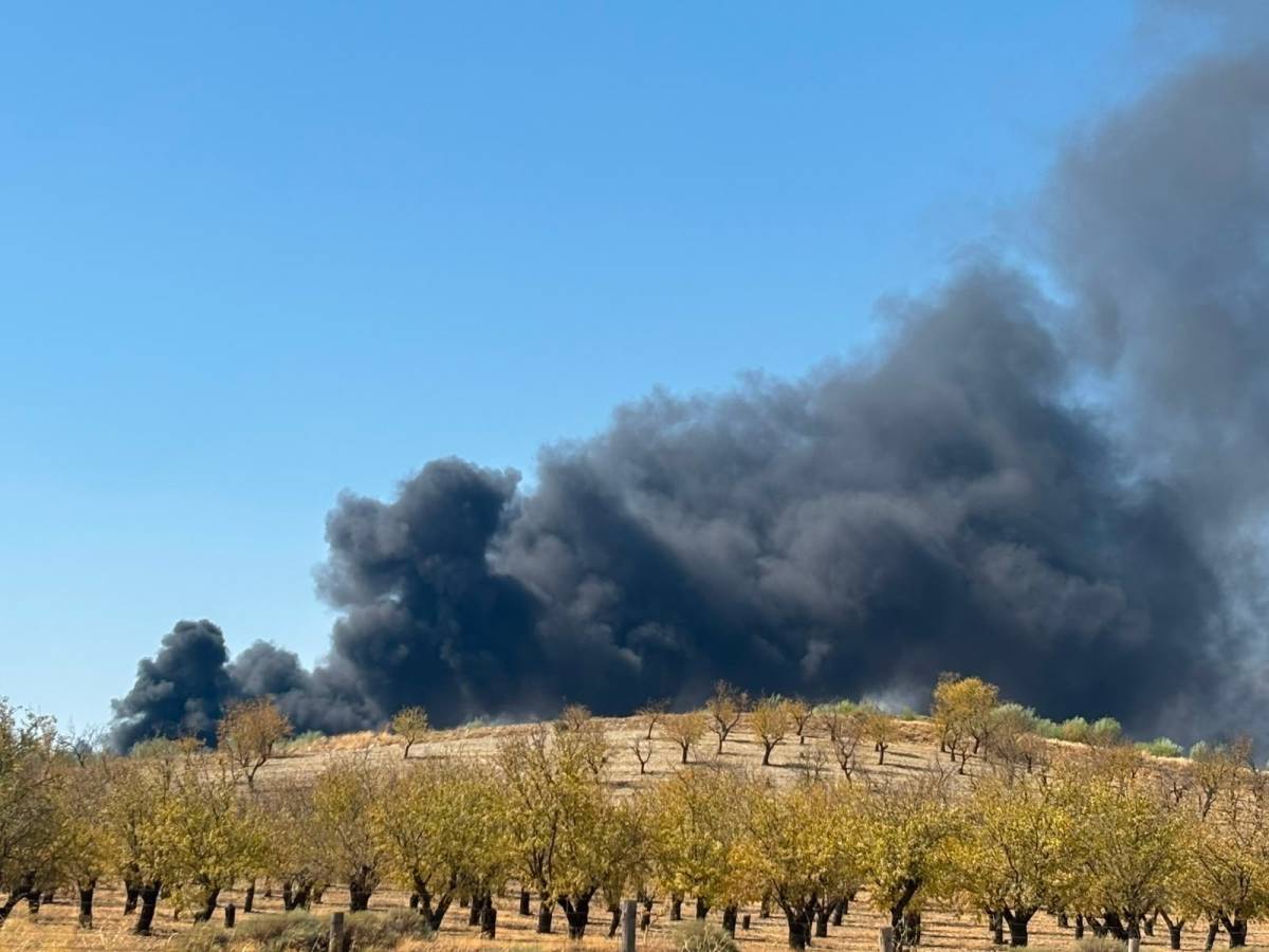 Humo procedente del incendio de la planta en Alhendín. - Humo procedente del incendio de la planta en Alhendín.