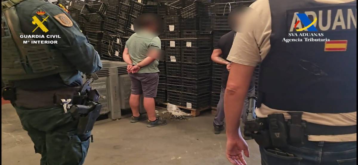 Varios transportistas de Sevilla, 'cazados' por la Guardia Civil: llevaban cocos que escondían más de 1.000 kilos de cocaína