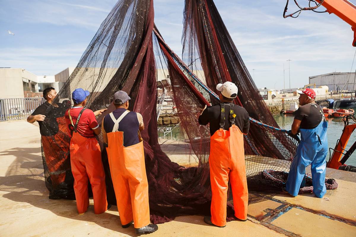 La patronal nacional y andaluza del pescado entran en el conflicto de la lonja de El Puerto y piden una reunión a Teófila Martínez, presidenta de la Autoridad Portuaria