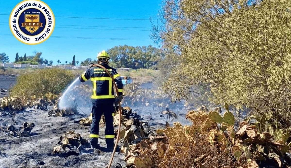 Un bombero, trabajando en las labores de extinción del incendio en el diseminado Valvanera, junto al cementerio de Puerto Real. - Un bombero, trabajando en las labores de extinción del incendio en el diseminado Valvanera, junto al cementerio de Puerto Real.
