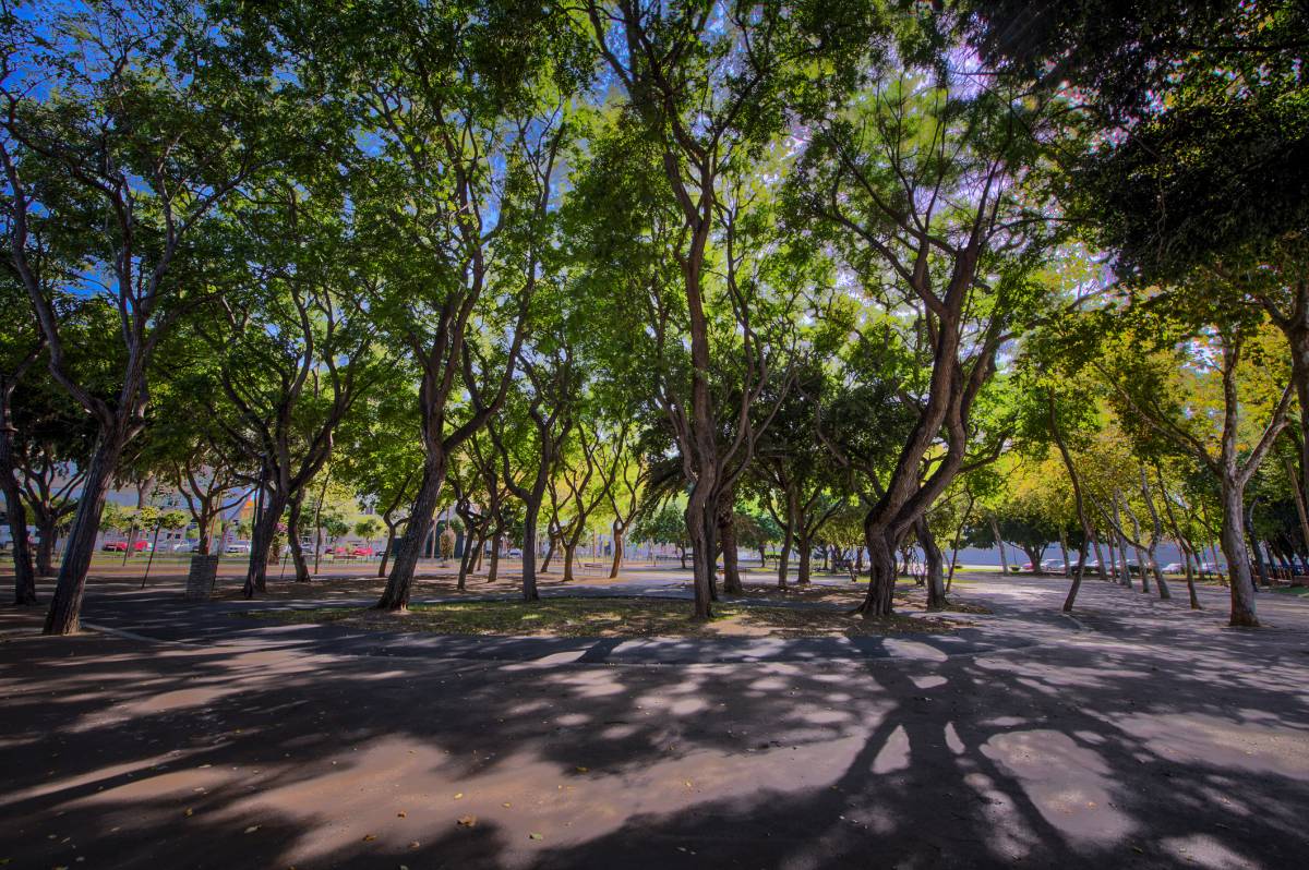 EMPRESA VALORIZA JARDINES Parque los Patos de Paula SAN FERNANDO - EMPRESA VALORIZA JARDINES Parque los Patos de Paula SAN FERNANDO