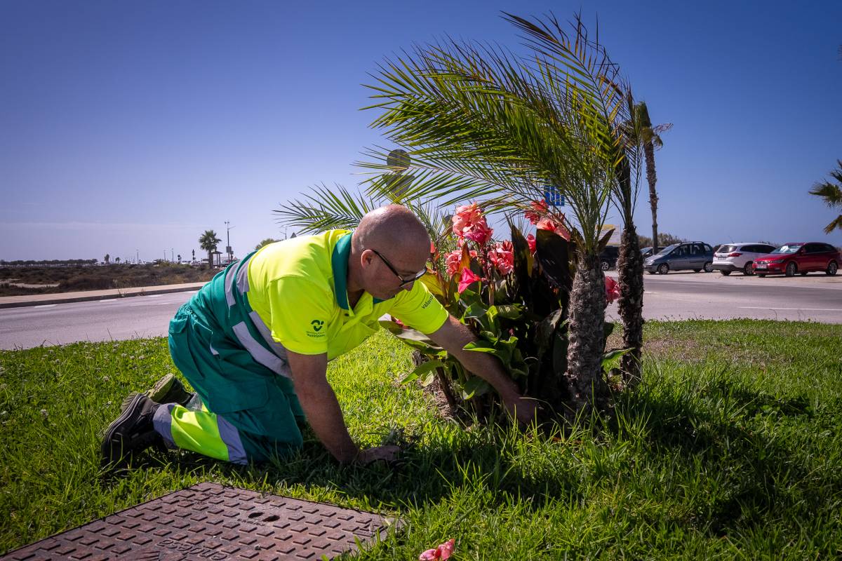 Más de 400 zonas verdes en San Fernando y un reto: 