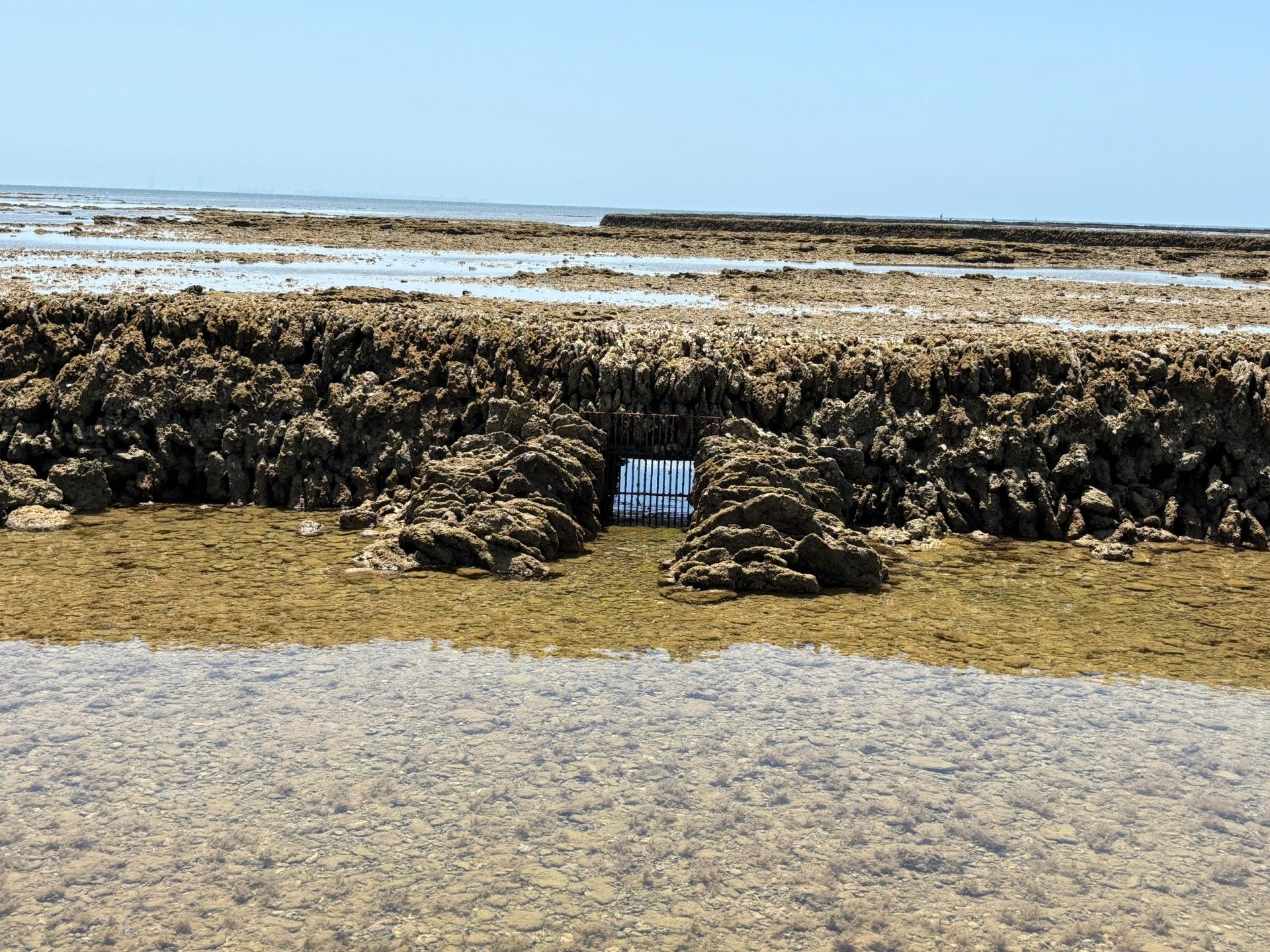 Los corrales de pesca. - 