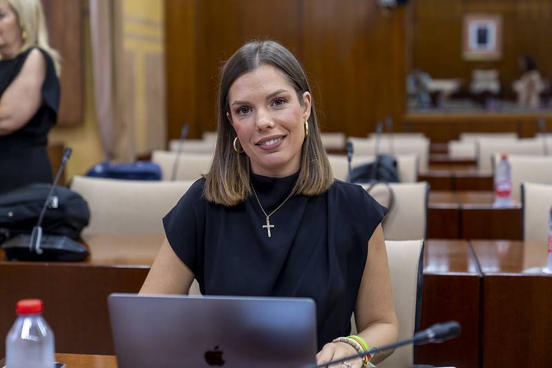 Vox llevará al Parlamento andaluz una iniciativa para defender la españolidad de Ceuta y Melilla y critica la pasividad del Gobierno