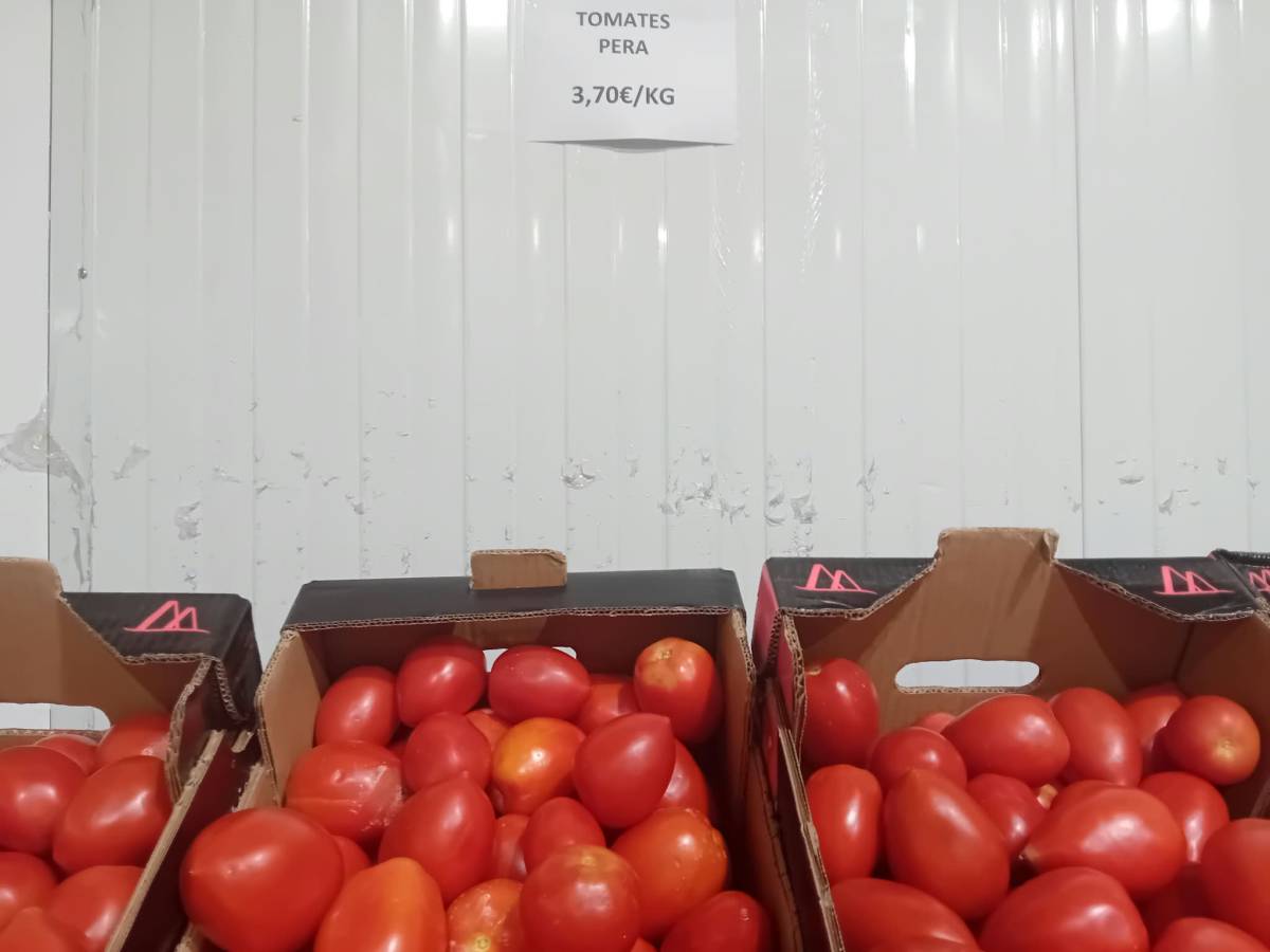 El tomate de pera, esta semana en un establecimiento de Los Palacios y Villafranca. - El tomate de pera, esta semana en un establecimiento de Los Palacios y Villafranca.