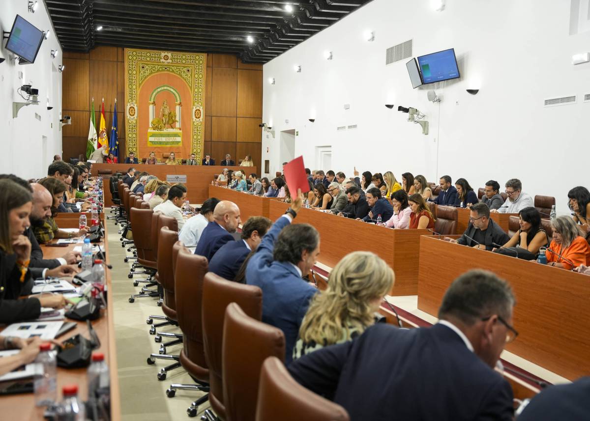 PP y Vox piden recuperar OCON-Sur para plantar cara al narco y la izquierda dice que a quien quieren "combatir" es al Gobierno
