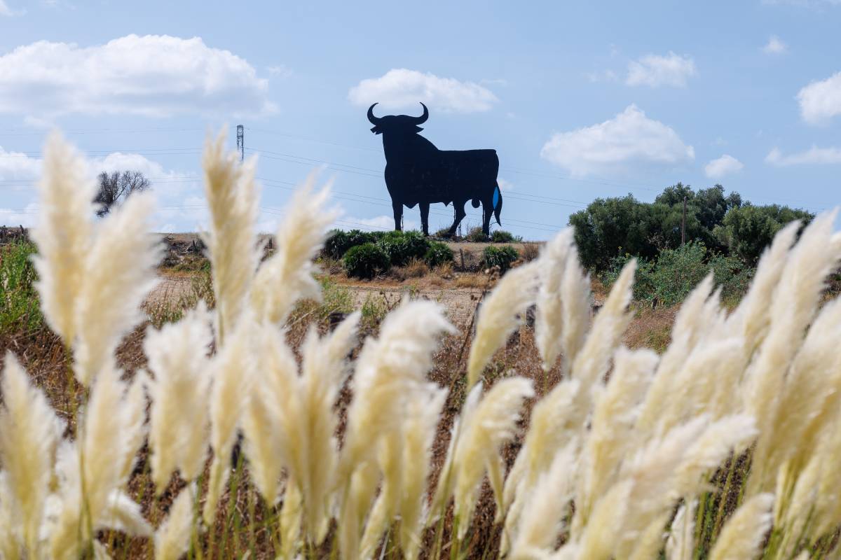 El toro de Osborne cumple 70 años (y su jubilación está muy lejana) 