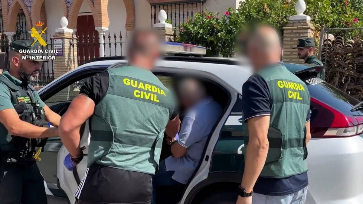 Detenido un empresario del sector de la aceituna por una presunta estafa de 1,7 millones a 258 agricultores de Sevilla y Huelva
