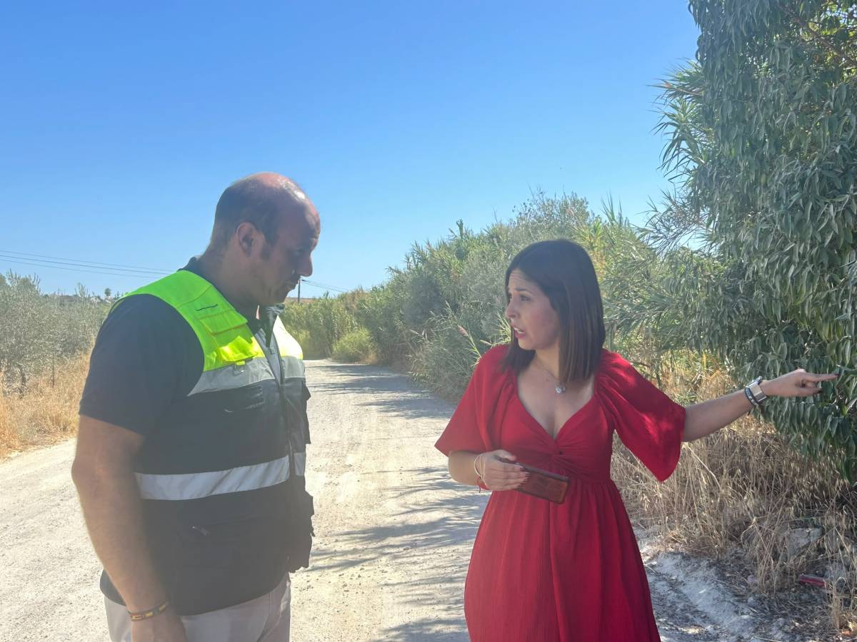 Los trabajos realizados en Espera. - Los trabajos realizados en Espera.