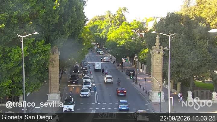 La caída de un árbol 'bloquea' la Avenida de María Luisa de Sevilla desde primera hora de la mañana