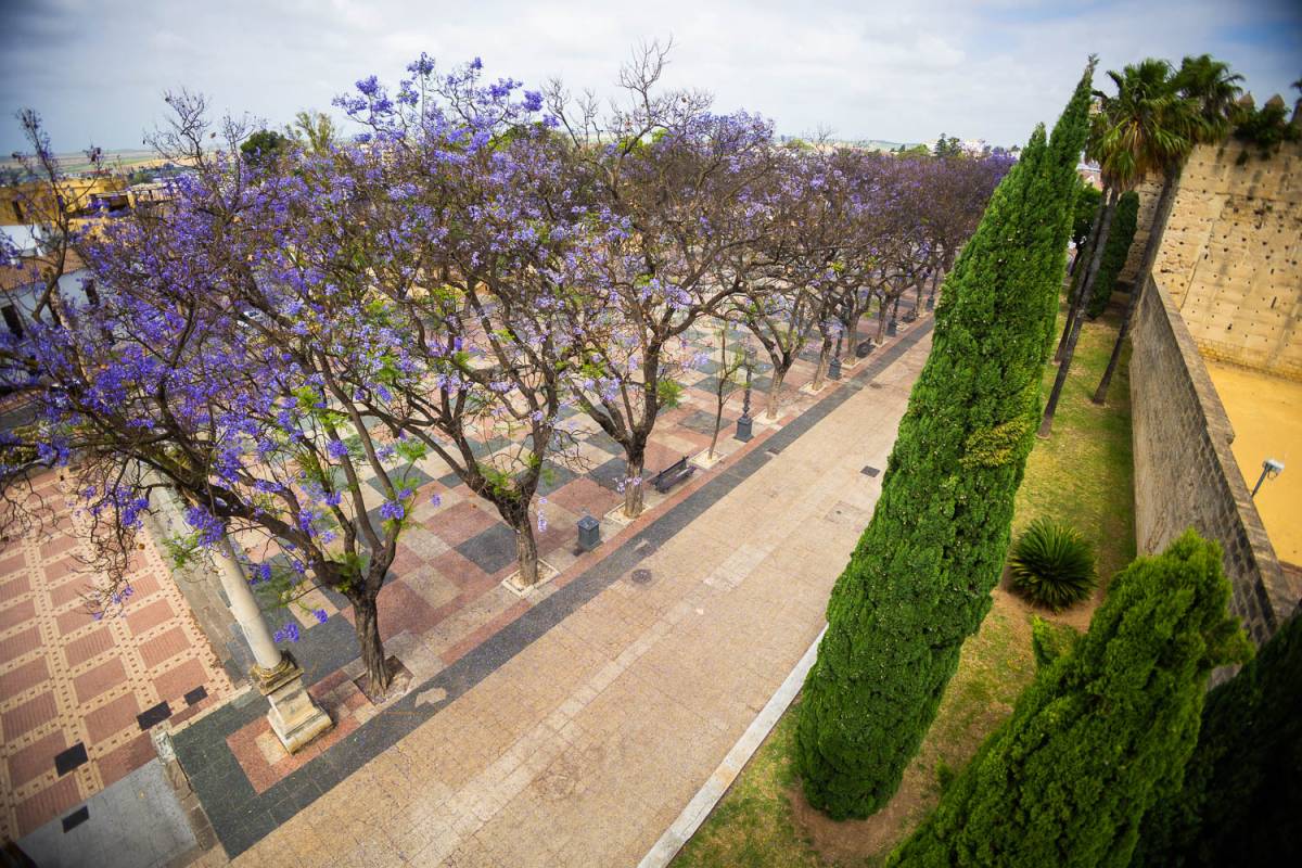 Estas son las 60 calles y plazas de Jerez que se renovarán hasta primavera de 2027 gracias a una inversión de 700.000 euros